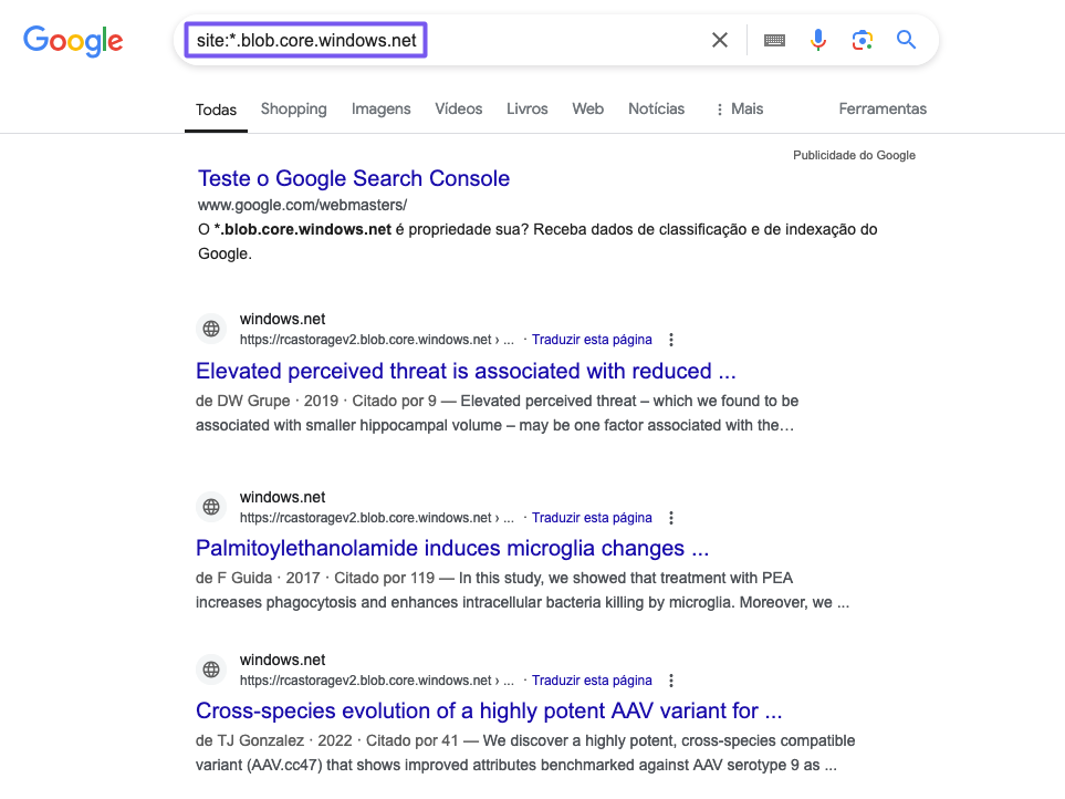 Google Dorking to find Azure Blob Storage URLs