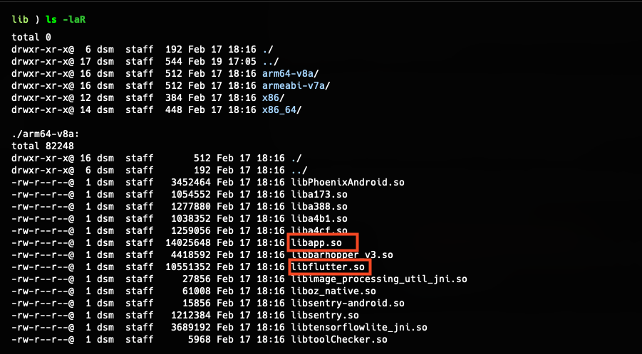 APK lib directory showing libflutter.so and libapp.so