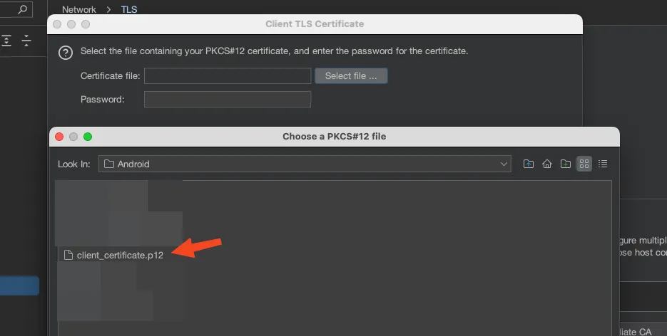 Burp Suite — selecting the .p12 file and entering password