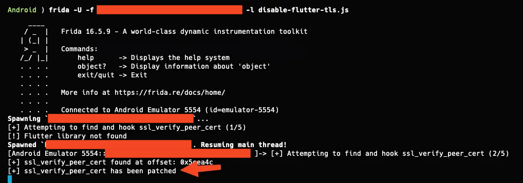 Frida running the disable-flutter-tls script