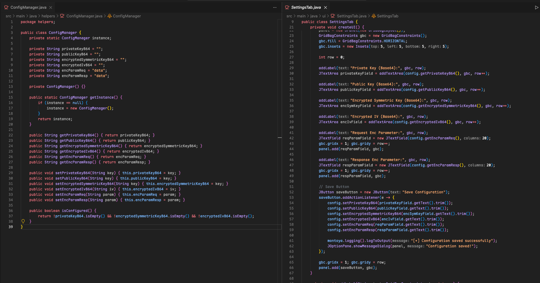 Extension settings tab in Burp Suite GUI