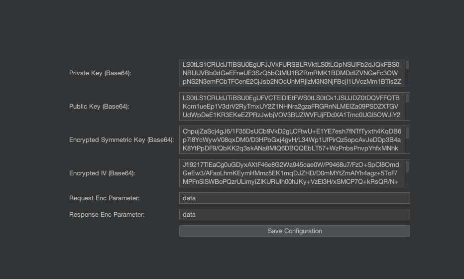 Extension UI with 6 input fields for keys and parameters
